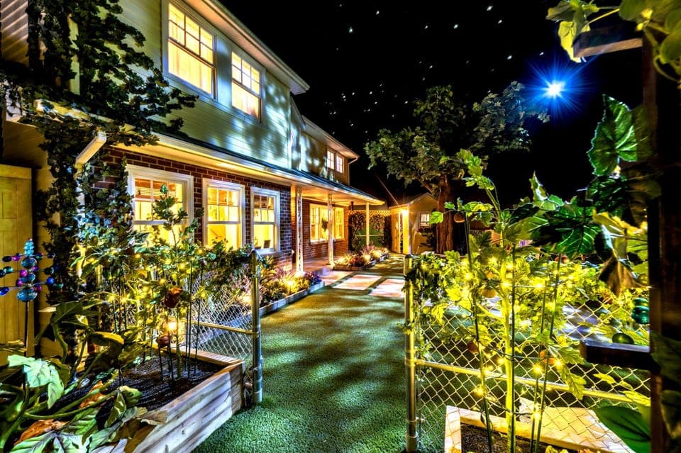 Grapevine: Meow Wolf The Real Unreal Ticket Gallery Image 3