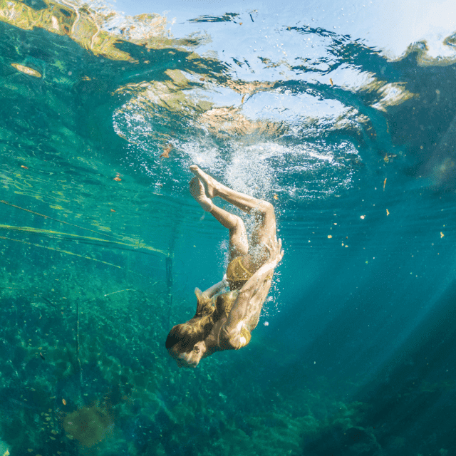 Chichen-itza Valladolid Cenote Xcajum Gallery Image 4