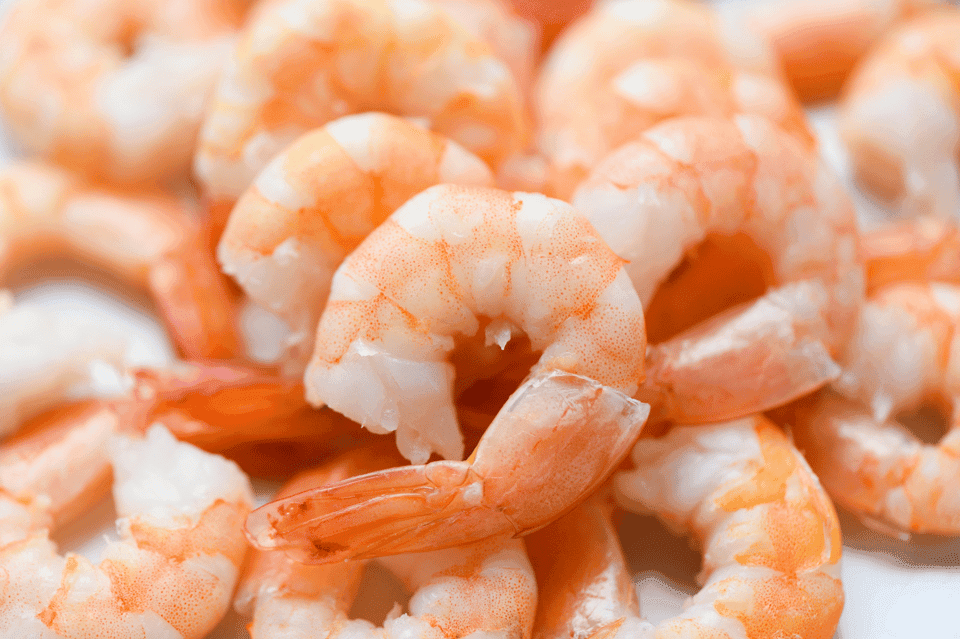 Master the Art of Colossal Shrimp Alfredo Pasta Gallery Image 3