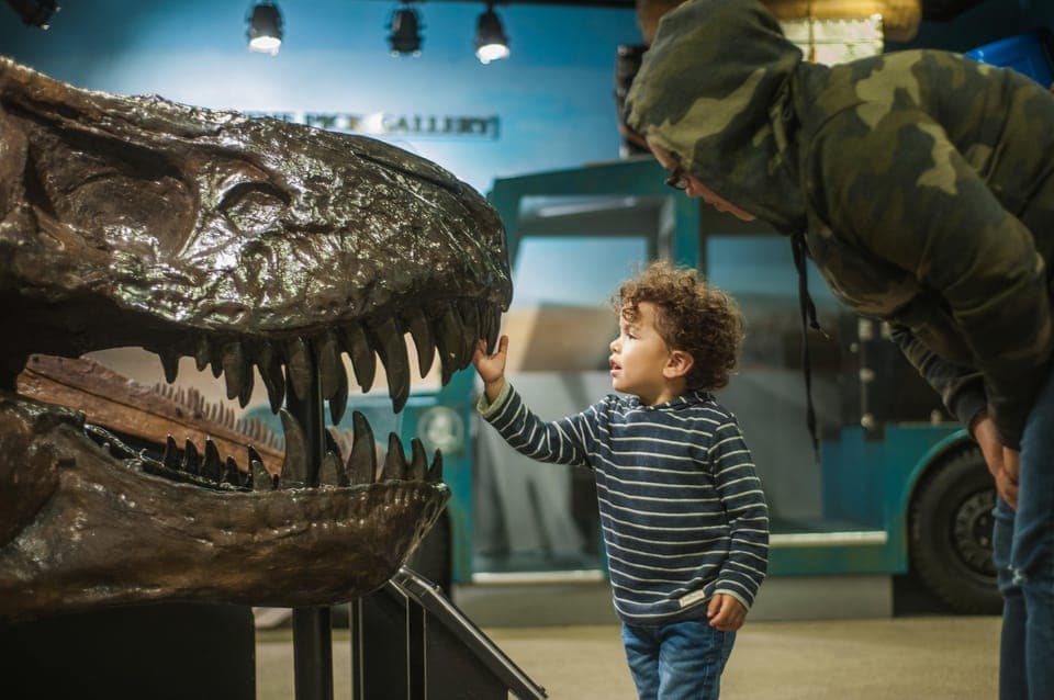 21. Chicago Children's Museum Entry Ticket - Image 21