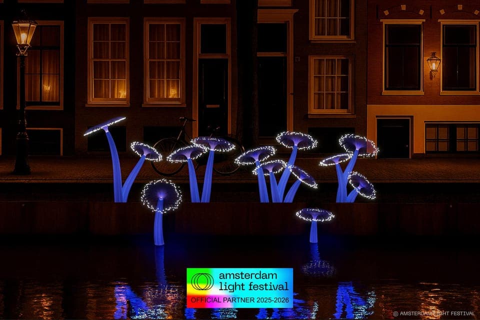 Light Festival Heated Cruise w/Mulled Wine & Bite Gallery Image 3