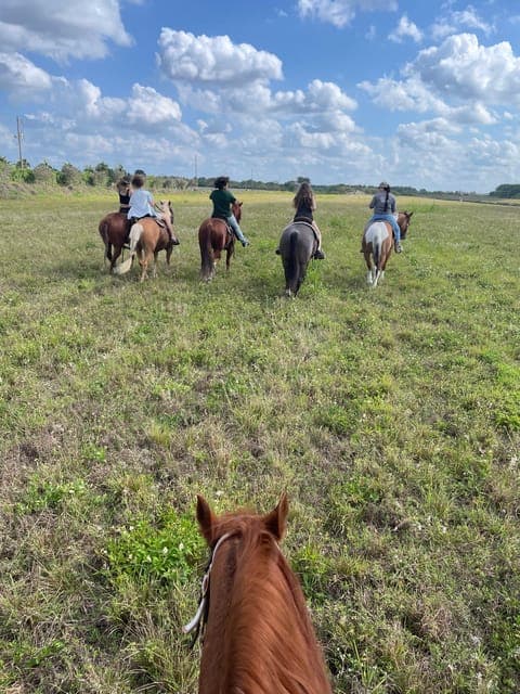 Guided Horseback Riding Tour Gallery Image 3