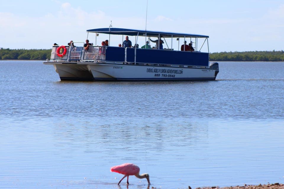 Everglades Tour w/90 minute boat trip & 3 Hikes! - Image 4