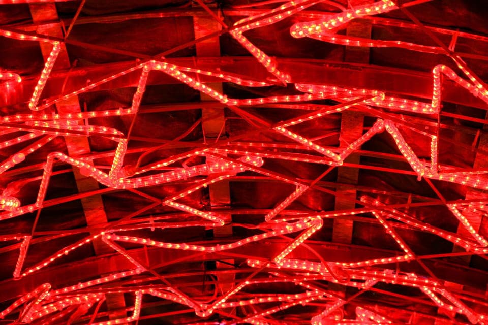 Vancouver’s Festive Shoreline: A Christmas Walking Tour Gallery Image 4