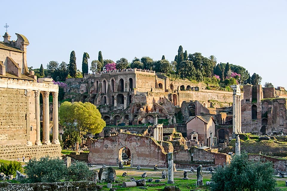 Guided Tour of Colosseum, Roman Forum & Palatine Hill Gallery Image 2