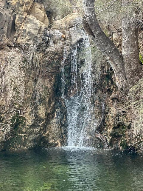 Family Friendly Guided Hike to Emerald Falls Gallery Image 4