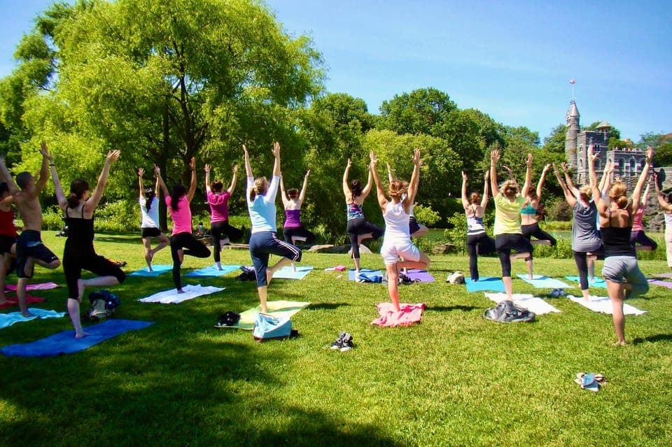 Central Park: Highest Rated Yoga Class in New York City! Gallery Image 3