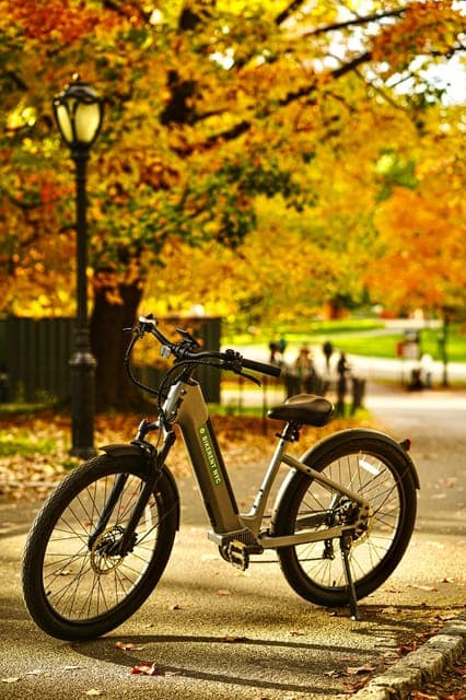 Central Park Guided Electric Bike Tour Gallery Image 3