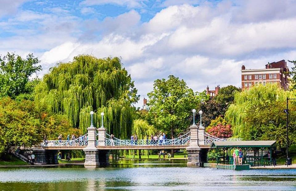 From Boston:Public Garden,Beacon Hill&More Half Day tour Gallery Image 3