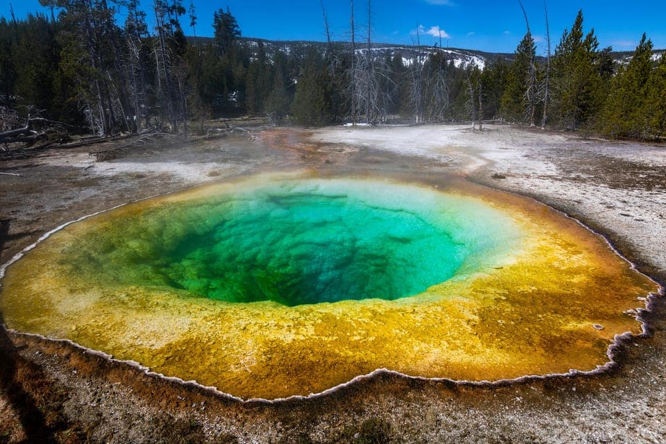 26. Los Angeles: 8-Day Antelope and Yellowstone Tour - Image 26