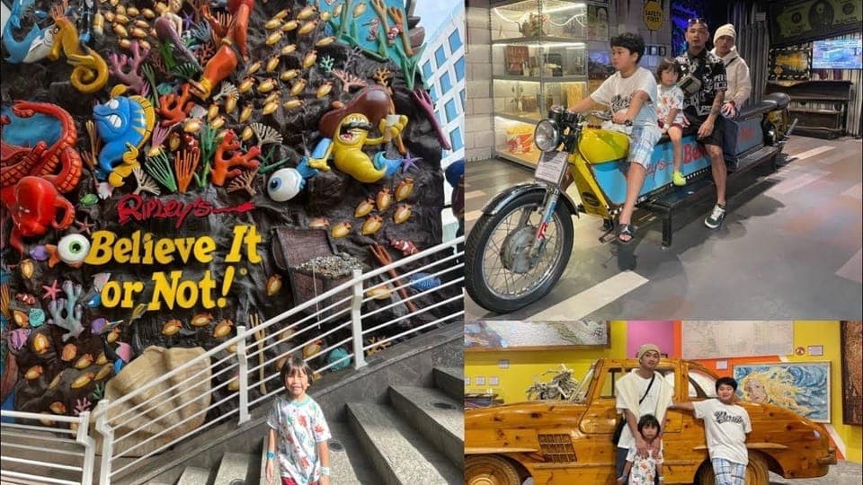 Cancun Guided Sightseeing SkyWheel, Letters and Shopping Gallery Image 3