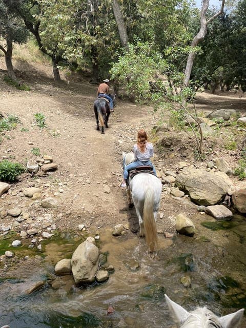 Scenic Canyon Horseback Riding Tour Gallery Image 4