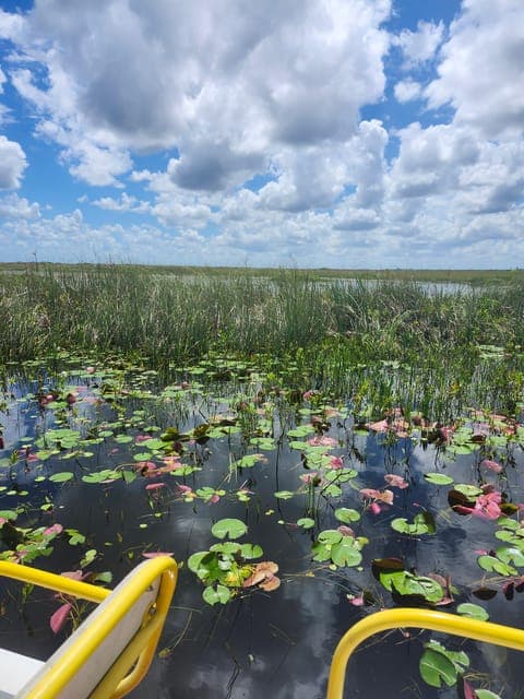 26. Everglades Airboat Tour with Luxury Transportation - Image 26
