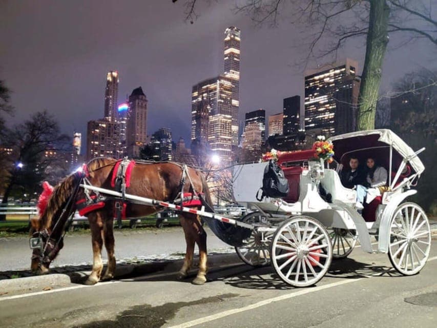Central Park Christmas Lights Horse-Drawn Carriage Ride Gallery Image 2