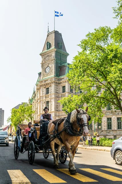 16. Québec City: Private City Tour - Image 16