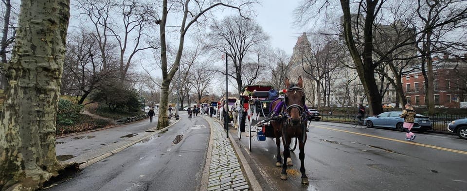 Horse Carriage Ride at Rockefeller Center & Times Square Gallery Image 3