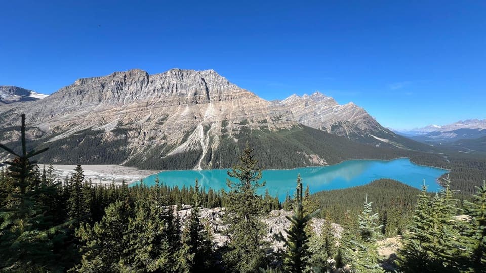 Columbia Icefield & Bow Lake & Peyto Lake Gallery Image 2