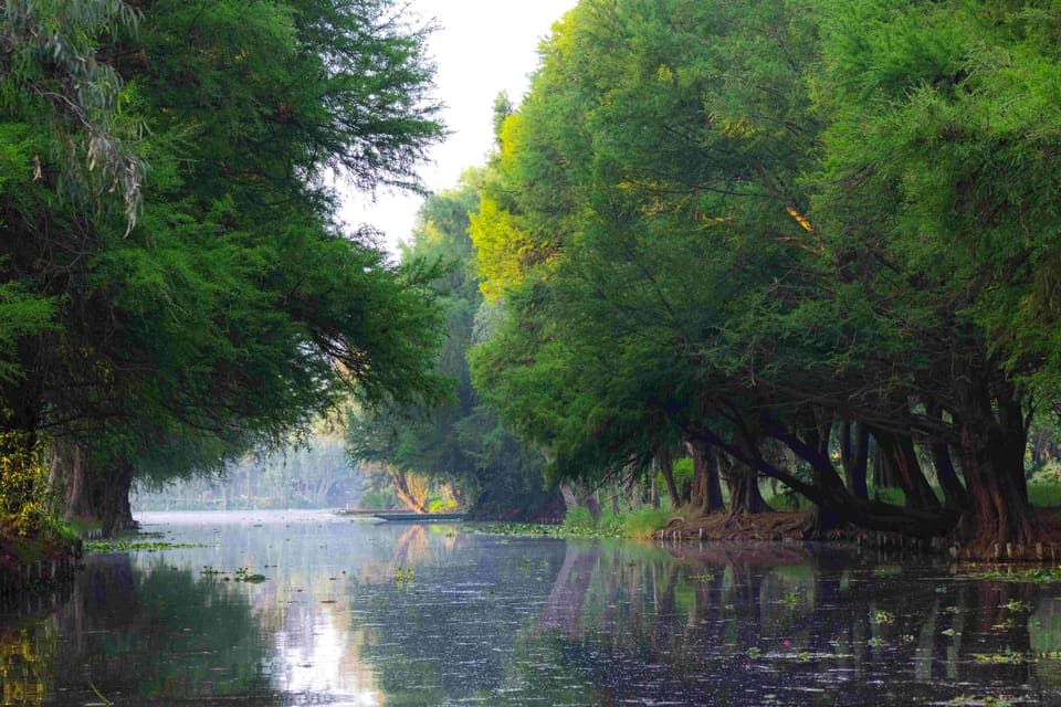 Xochimilco Day Trip: Farmland Food and Hop on a Trajinera - Image 6