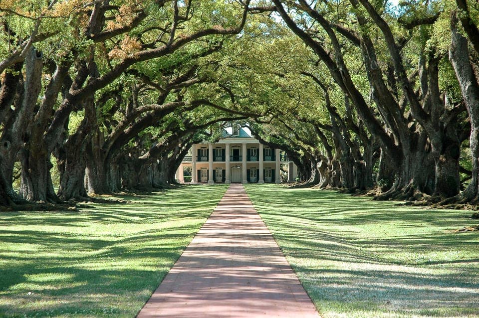 24. Louisiana: Laura, Oak Alley, or Whitney Plantation Tours - Image 24