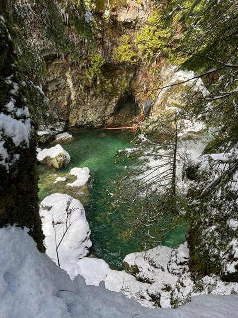 Rainforest Waterfall Hike and Suspension Bridge Gallery Image 3