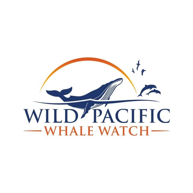 Luxury Year-round Whale Watching & Dolphin Tour Gallery Image 4