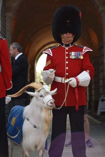 La Citadelle de Québec Ticket and Guided Tour Gallery Image 4