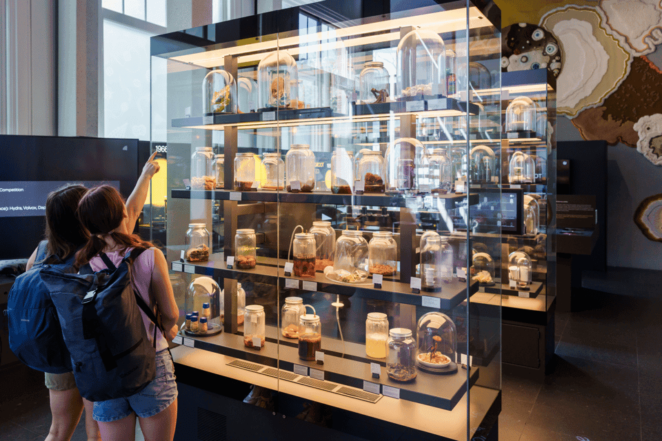 ARTIS-Micropia Microbe Museum Entry Ticket Gallery Image 3