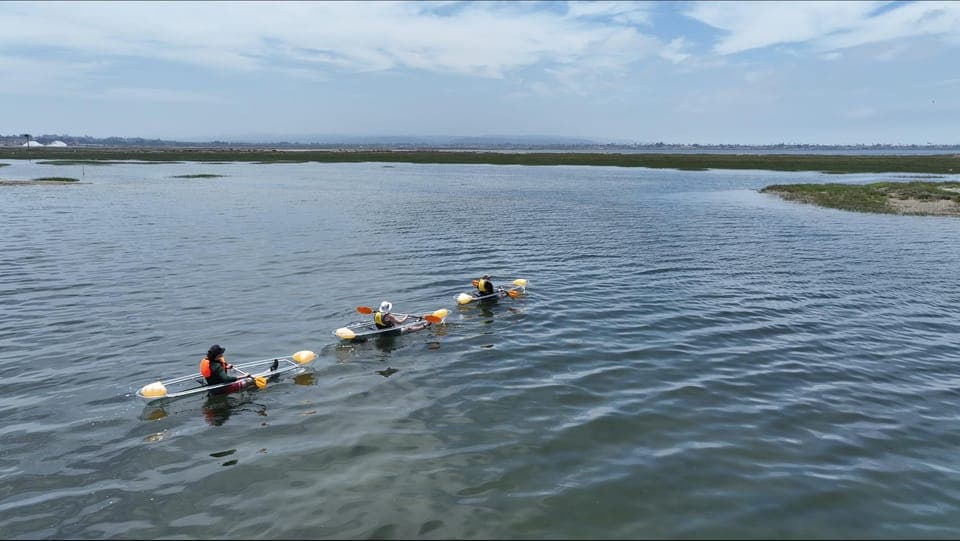 Crystal Clear Wildlife Kayak Tour Gallery Image 2