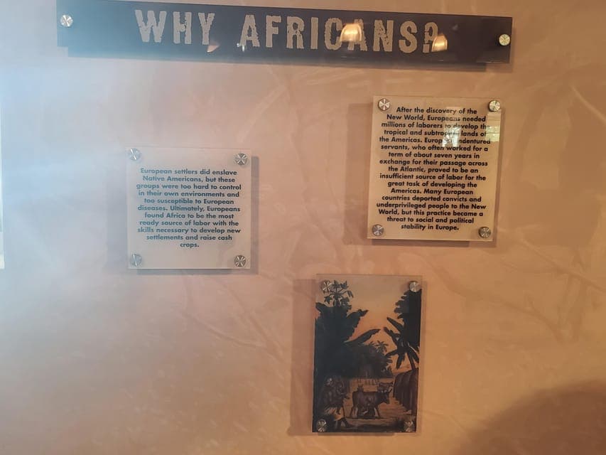 Whitney Plantation Half-Day Tour (Guided Tour) Gallery Image 4