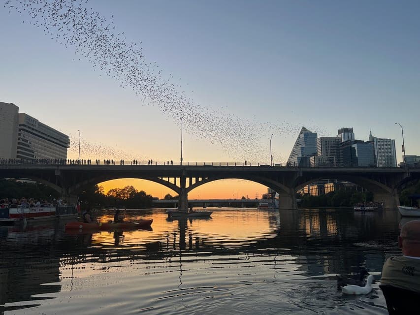 Bat Bridge Sunset Kayak Tour Gallery Image 1