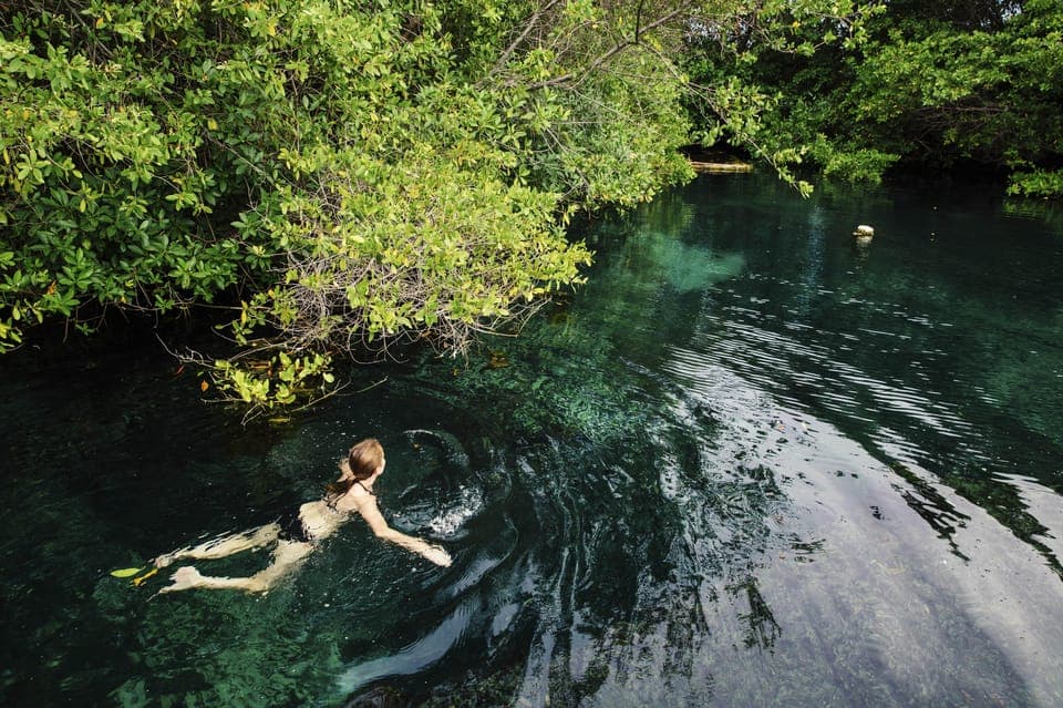 Cancun: Quad biking, zip lines, and swimming in a jungle cenote Gallery Image 3