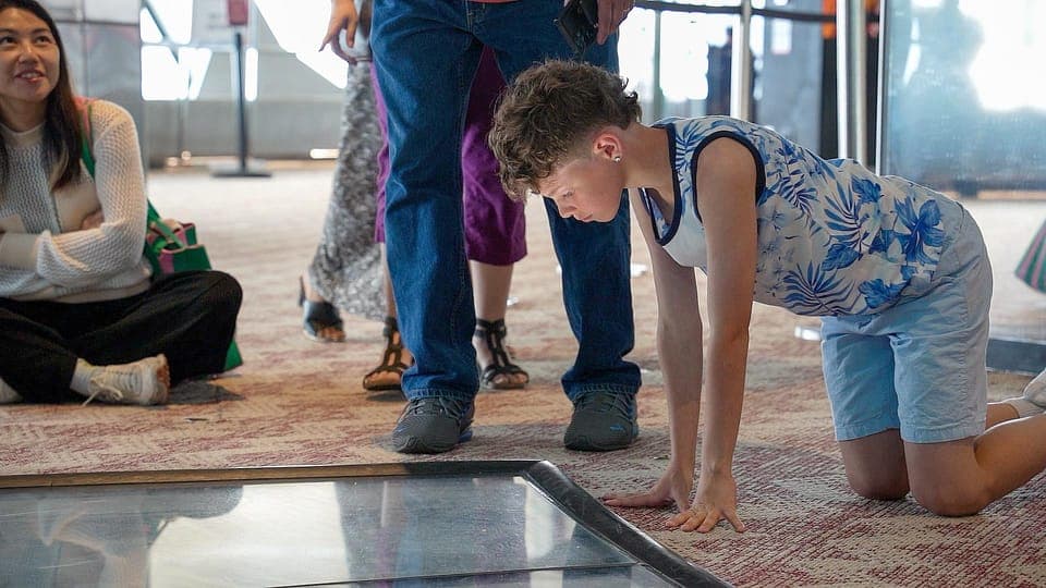 Premium Driving Tour with Tower and Harbour Cruise Gallery Image 2