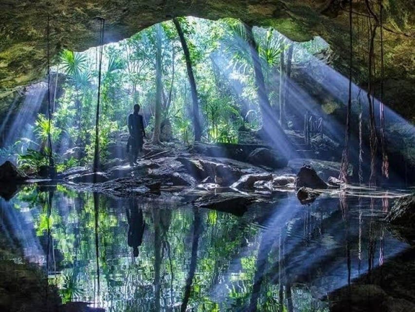 From Cancun: Chikin Ha Cenote Diving Experience Gallery Image 2