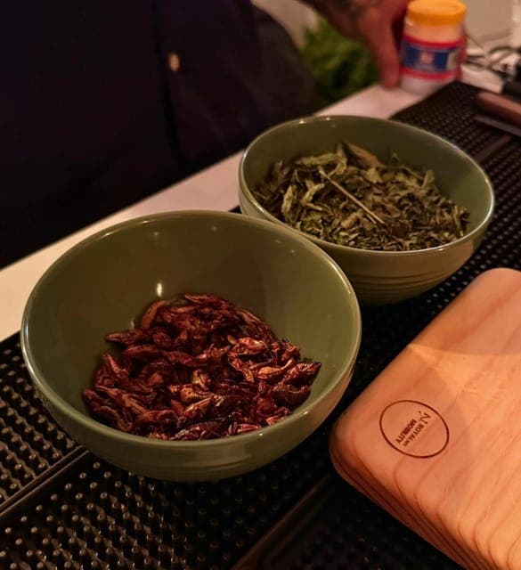 Ancient Mexican Mixology Workshop with Panoramic View in Coyoacán Gallery Image 2