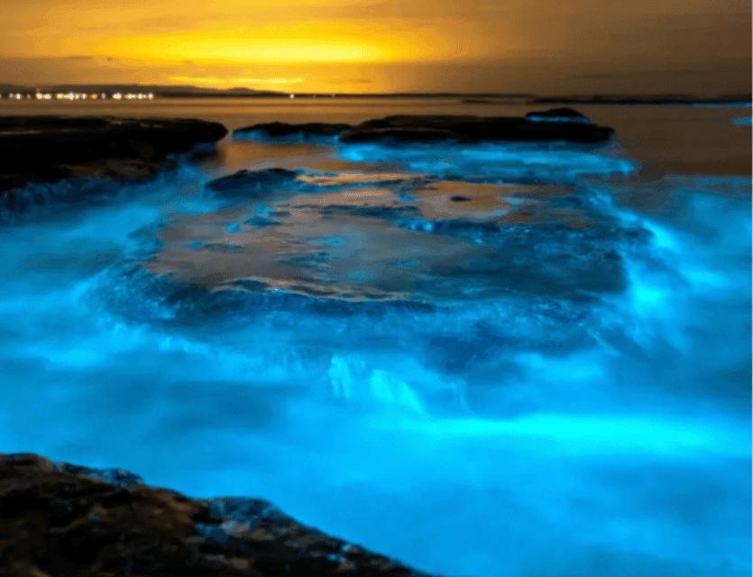 Bioluminescence Clear Kayaking or Paddleboarding Gallery Image 2