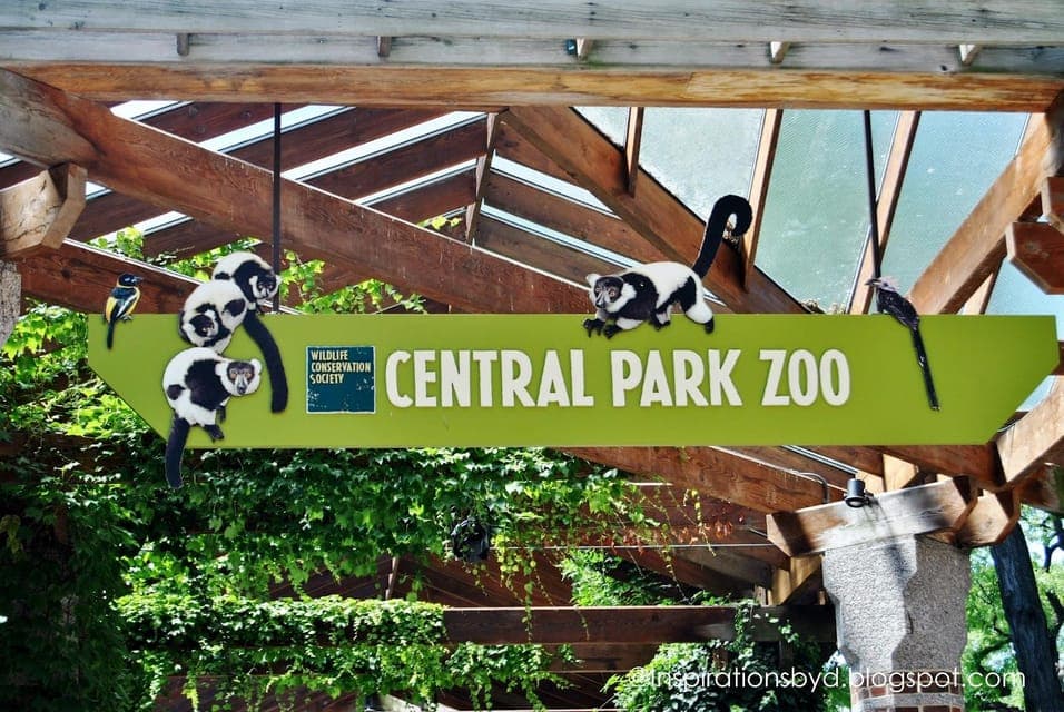 Central Park Zoo Entry Ticket & Manhattan Walking Tour Gallery Image 2