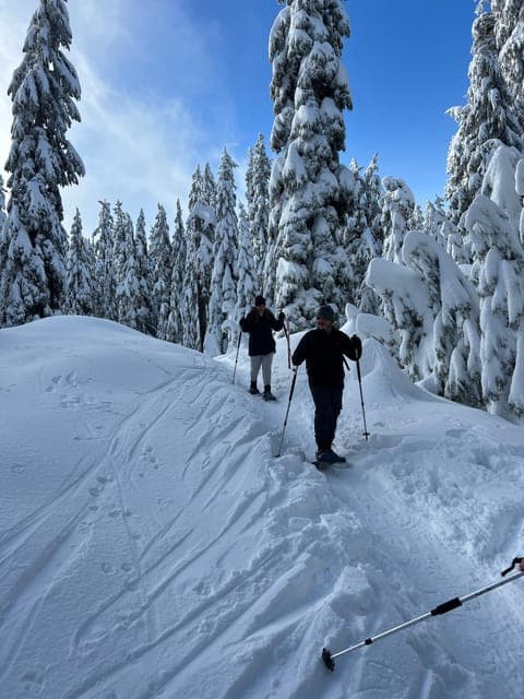 North Shore Mountains Snowshoeing with Transfer Gallery Image 4
