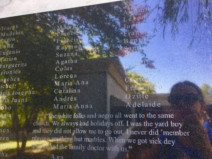 Whitney and Laura Guided Plantation Tour Gallery Image 3