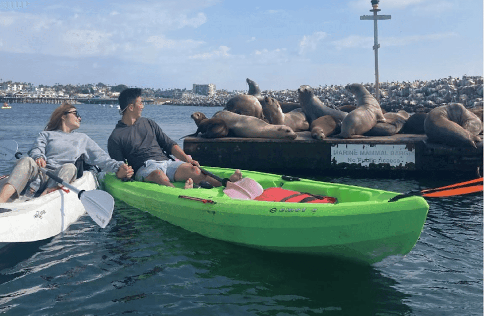 1. Redondo Beach: Kayak & Snorkel with Sea Lions Tour - Image 1