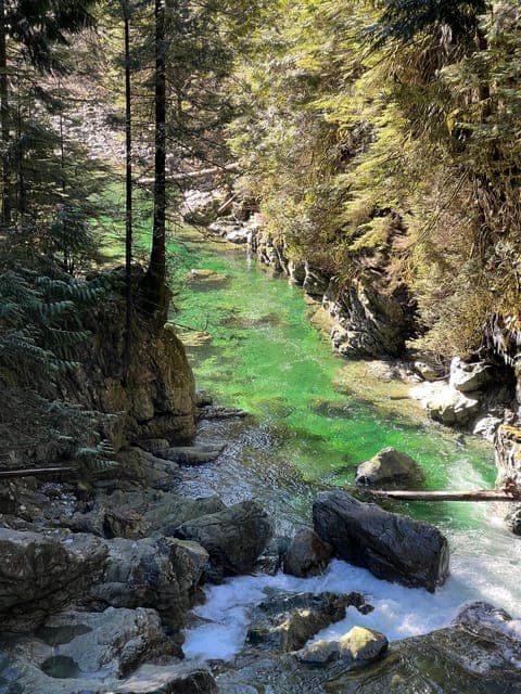 17. Rainforest Waterfall Hike and Suspension Bridge - Image 17