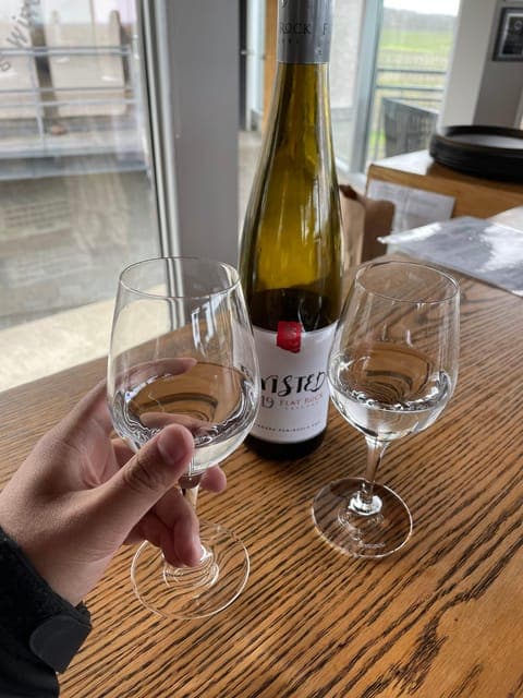 Relaxing Lunch & Wine Tour through Niagara's Wine Country Gallery Image 3