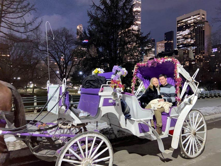 Private Christmas Lights Horse Carriage Ride Gallery Image 3