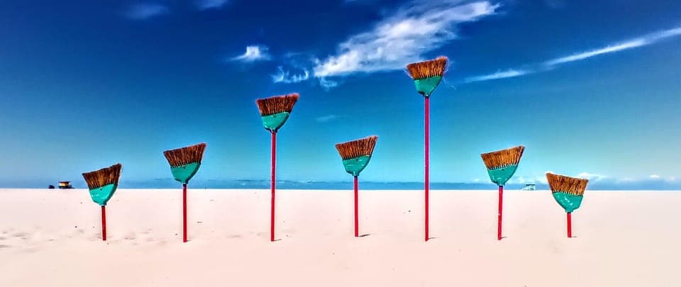 California Coastline Scenic Wildlife Photography Tour Gallery Image 3