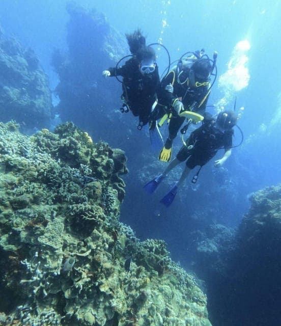 24. From Cancun: Diver Courses in Cozumel - Image 24