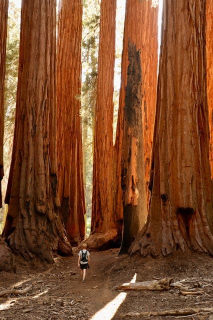 2-Day Tour to Los Angeles with Parks Gallery Image 3