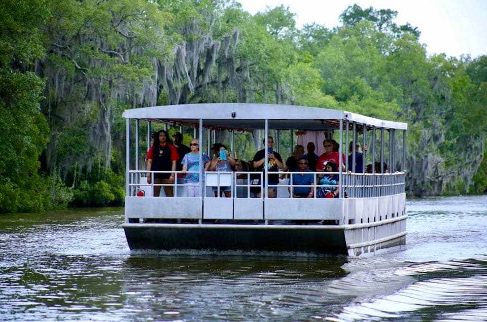 Swamp Tour on Covered Pontoon Boat Gallery Image 1