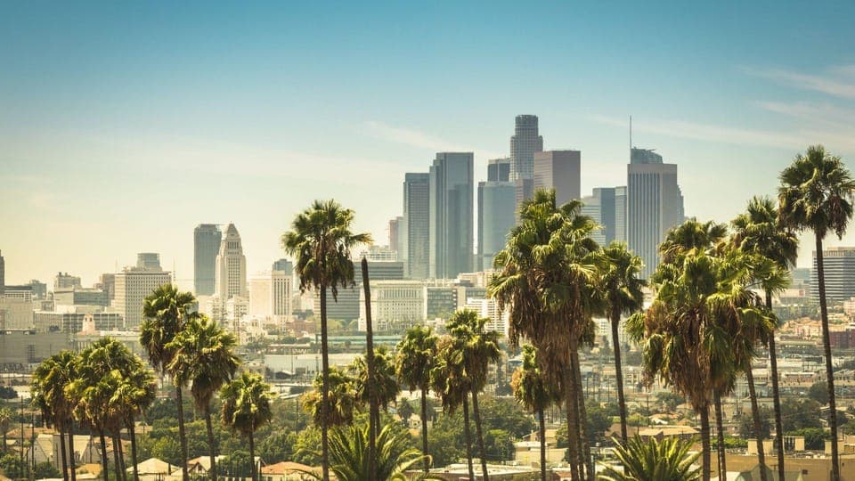 Best of Los Angeles: Private Walking Tour with a Local Gallery Image 3