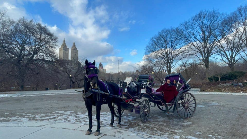 Official VIP Whole Central Park Horse Carriage Tour - Image 1