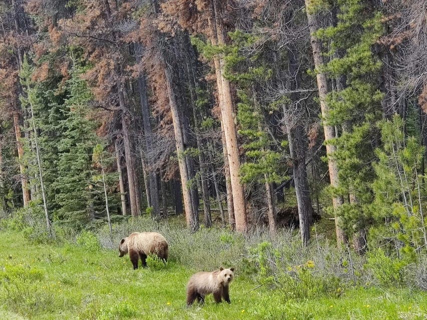 Banff, Yoho, and Jasper 2 Day Private Tour Gallery Image 3