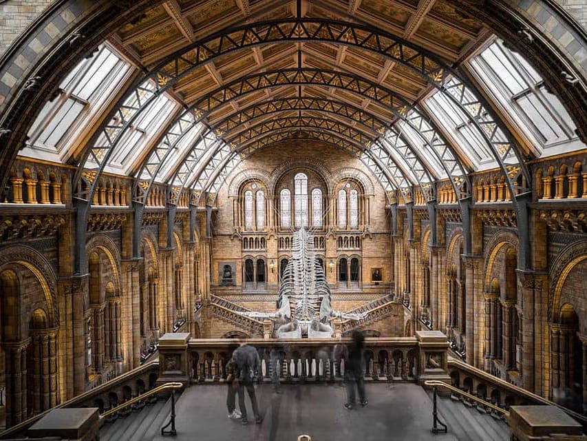 Explore History: British Museum's Rosetta, Mummies & More Gallery Image 2